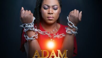 Adam Nana by Joyce Blessing Mp3, Video and Lyrics