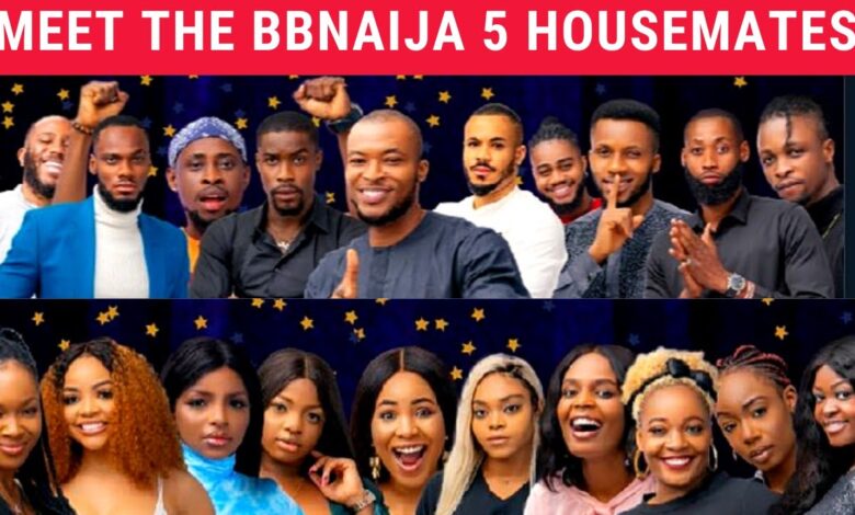 BBNaija Big Brother Naija season 5 housemates Meet the Lockdown Housemates