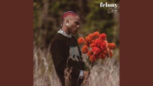 CKay - Felony Mp3, Lyrics Video
