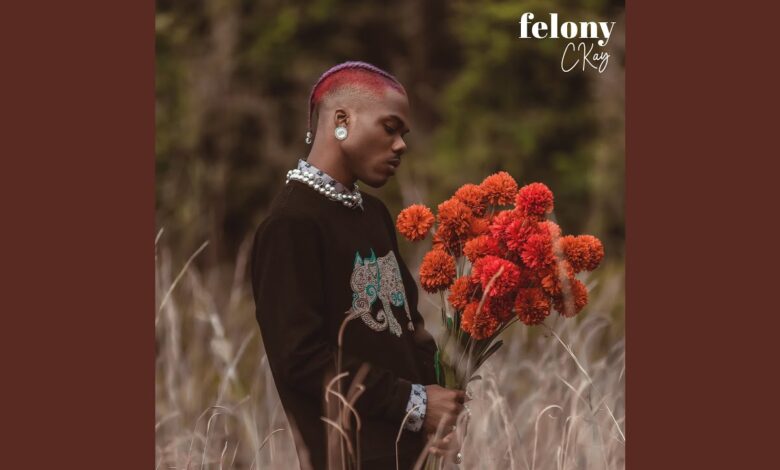 CKay - Felony Mp3, Lyrics Video
