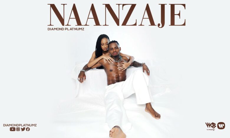 Naanzaje by Diamond Platnumz Mp3, Lyrics, Video