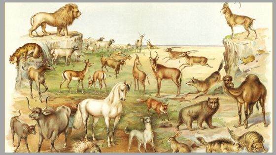 List of Animals Mentioned in the Bible