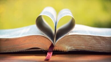 What is Love According to the Bible?