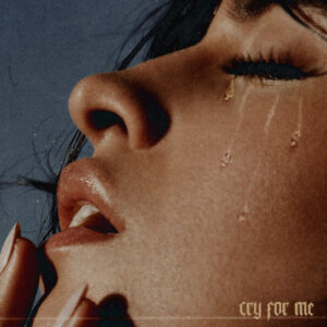 Camila Cabello - Cry for Me (Mp3 Download, Lyrics)