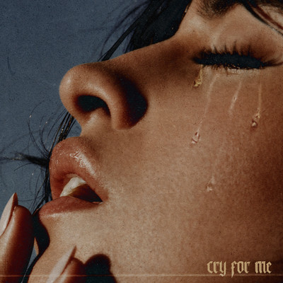 Camila Cabello - Cry for Me (Mp3 Download, Lyrics)