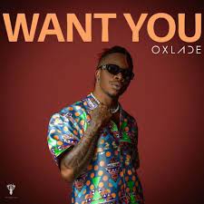 Oxlade - Want You (Mp3 Download, Lyrics)