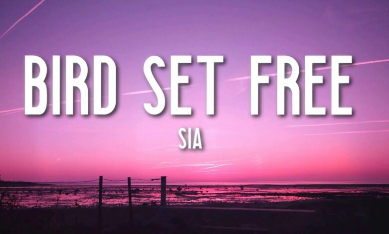 Sia - Bird Set Free (Mp3 Download, Lyrics)
