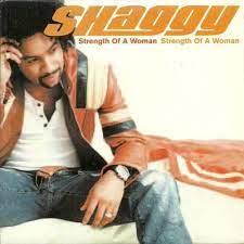 Shaggy - Strength Of A Woman (Mp3 Download, Lyrics)