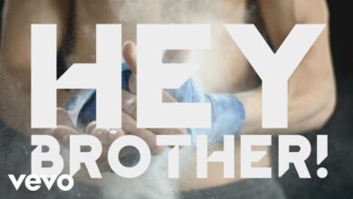 Avicii – Hey Brother Mp3 Download, Lyrics