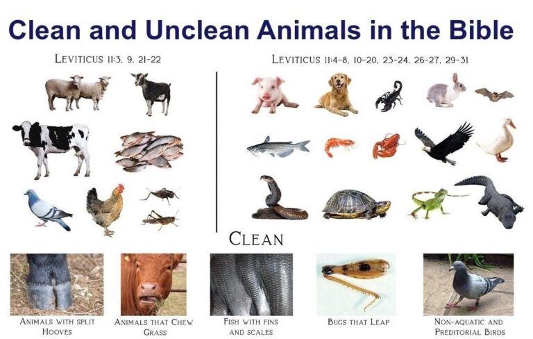 List of Clean and Unclean Animals in the Bible