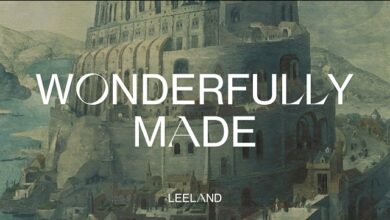 Wonderfully Made by Leeland (Mp3 Download, Lyrics)