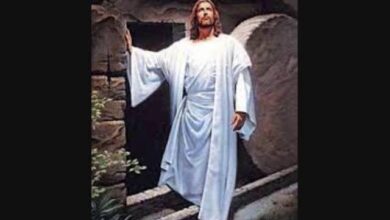 Terry MacAlmon – Holy Are You Lord (Mp3 Download, Lyrics)