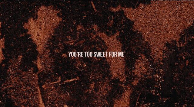 Too Sweet By Hozier MP3 Download